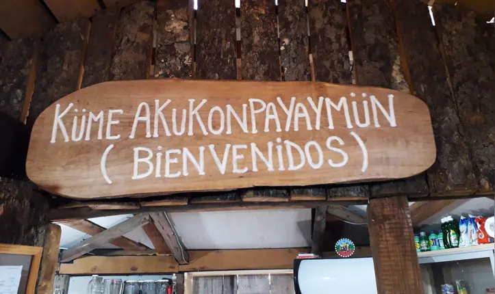 Imagem ilustrativa da imagem Expedição Chile: da história do povo ao Parque Nacional Conguillio