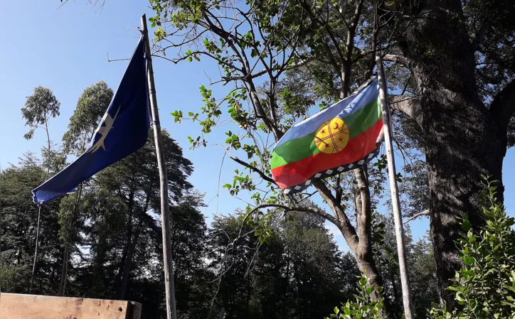 Imagem ilustrativa da imagem Expedição Chile: da história do povo ao Parque Nacional Conguillio