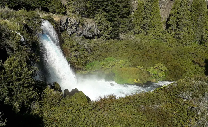 Imagem ilustrativa da imagem Expedição Chile: da história do povo ao Parque Nacional Conguillio