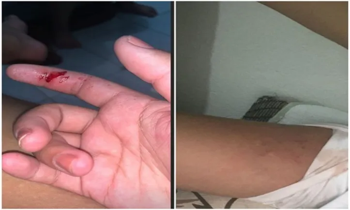 Imagem ilustrativa da imagem Devinho Novaes é acusado de agredir namorada; cantor nega