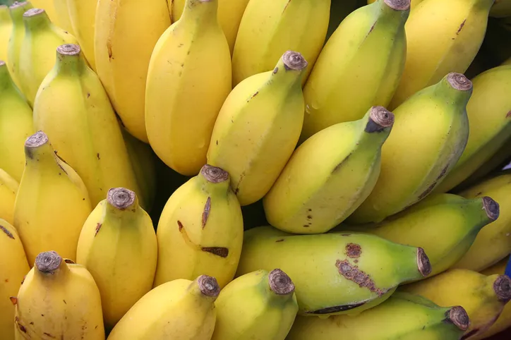 Em 2019, o Perímetro Irrigado de Formoso contabilizou 200 mil toneladas da fruta | Foto: Aurelino Xavier | Divulgação