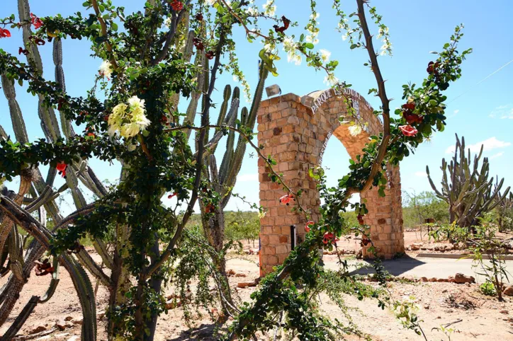 Canudos está localizado no sertão baiano | Foto: Divulgação | Flican