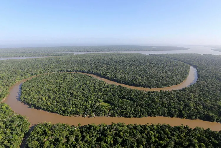 O número das multas ambientais reduziu no momento em que a devastação na Amazônia bate recorde na década | Foto: Cristiano Martins | Ag. Pará