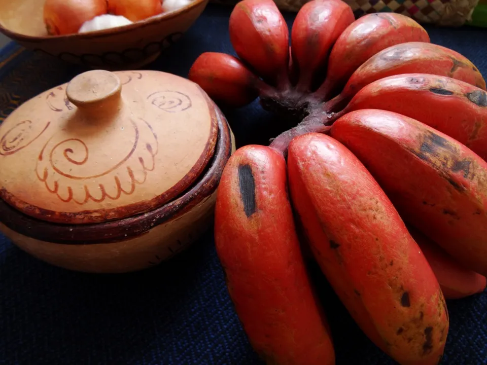 Senac lançou Observatório do Patrimônio Gastronômico do Nordeste e Espírito Santp