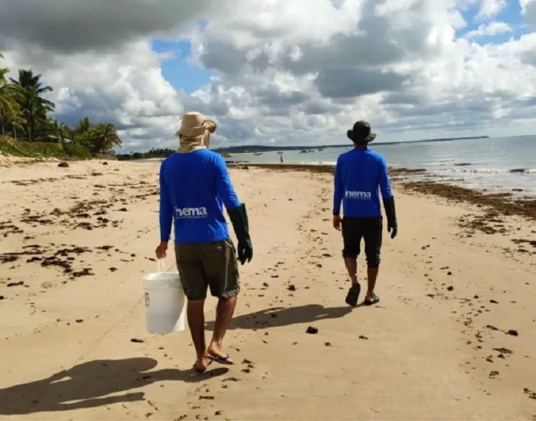 Ainda podem ser encontradas pequenas pelotas nas areias que são trazidas pelo mar | Foto: Divulgação | Inema