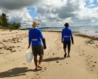 Ação conjunta retira resquícios de manchas de óleo do litoral baiano