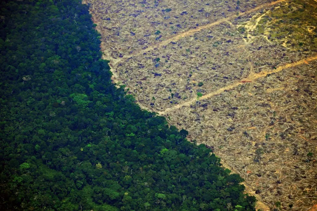 Um total de 829 km² da Floresta Amazônica foi desmatado em maio | Foto: Carl de Souza | AFP