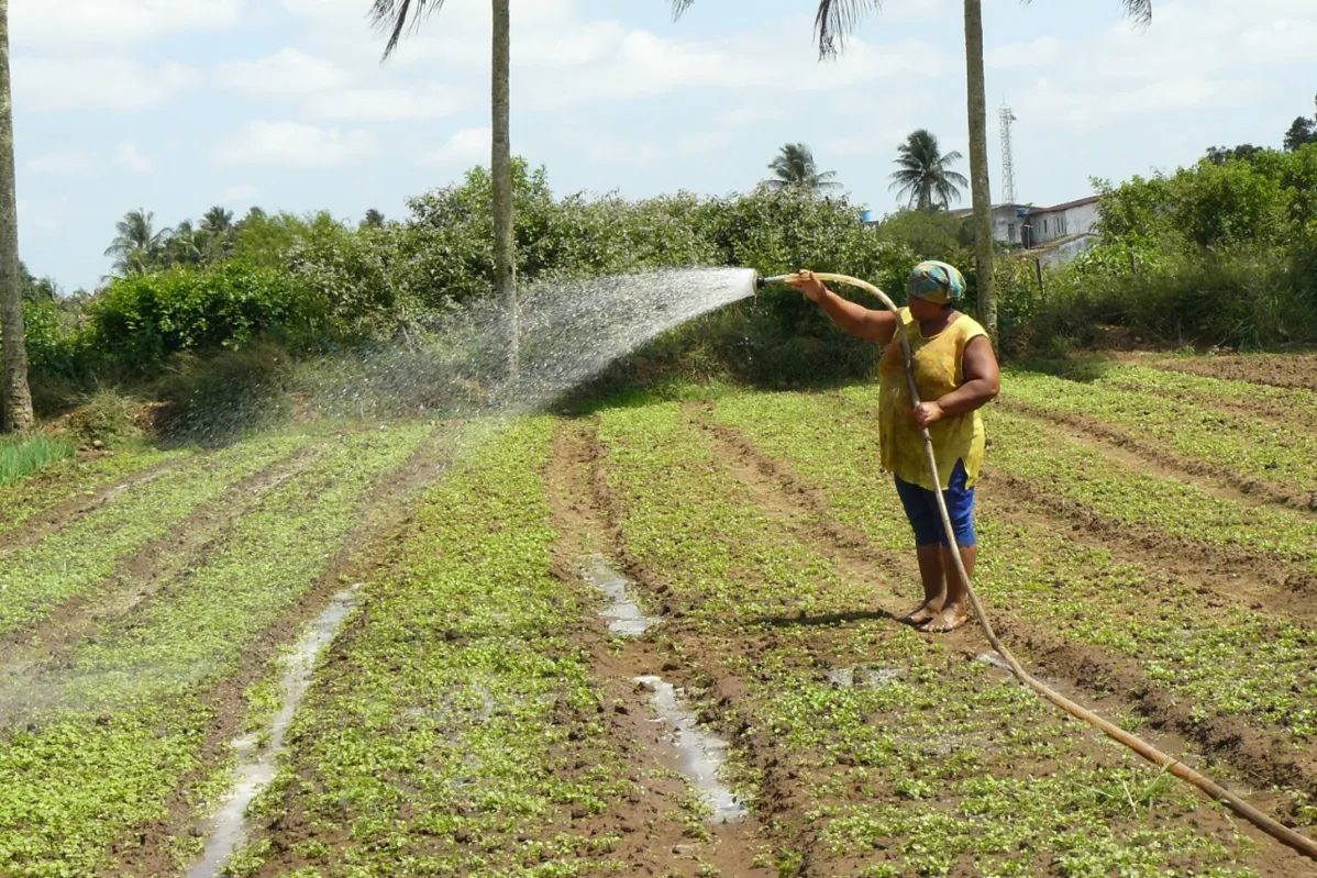 Quase 40 mil famílias de agricultores familiares vão receber o auxílio de R$ 850 até o fim do mês de junho.