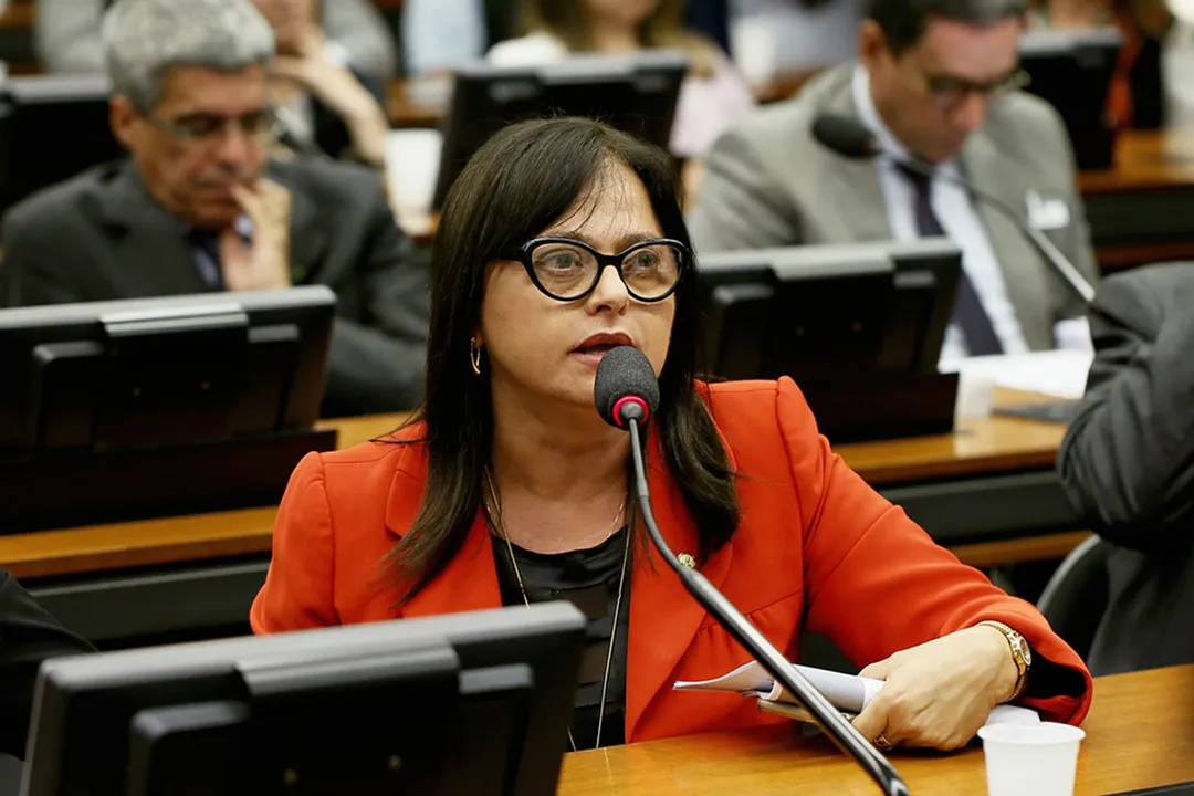 Deputada comentou vídeo do presidente exibido em Assembleia Geral da ONU / Foto: Agência Câmara