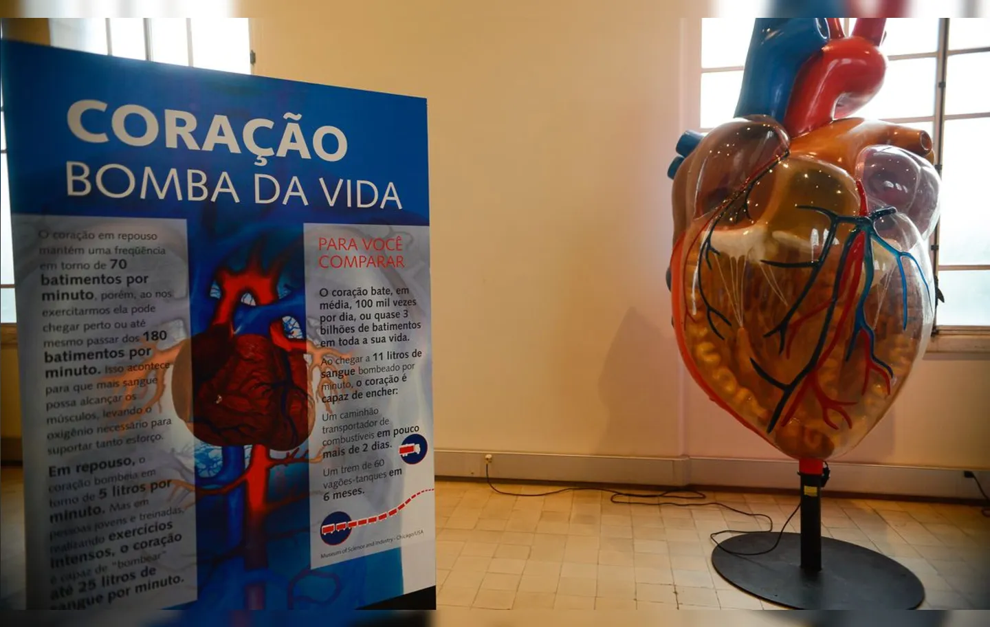 Doenças cardiovasculares são as que mais matam no Brasil e no mundo | Foto: Tomaz Silva | Agência Brasil
