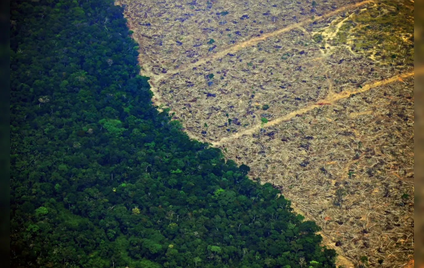 Um total de 829 km² da Floresta Amazônica foi desmatado em maio | Foto: Carl de Souza | AFP