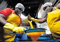 Produtores de licor de Cachoeira se reinventam em ano marcado por restrições