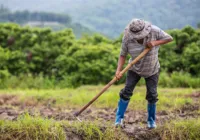 Agro brasileiro quebra recorde