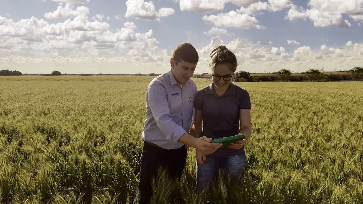 Intitulada Syngenta Digital, nova frente apresenta um portfólio apto a atender as necessidades distintas de agricultores ao redor do mundo | Foto: Syngenta