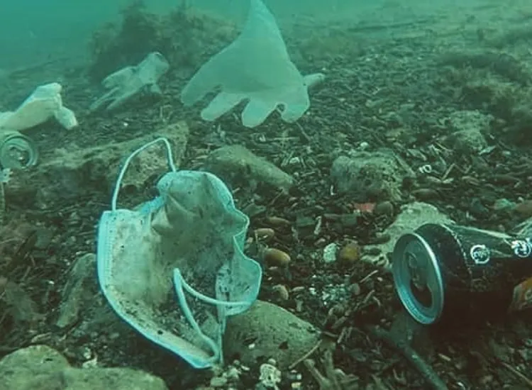 Projeção é feita pelo estudo Quebrando a Onda dos Plásticos
