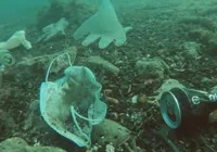 Plástico nos oceanos pode chegar a 600 milhões de toneladas em 2040