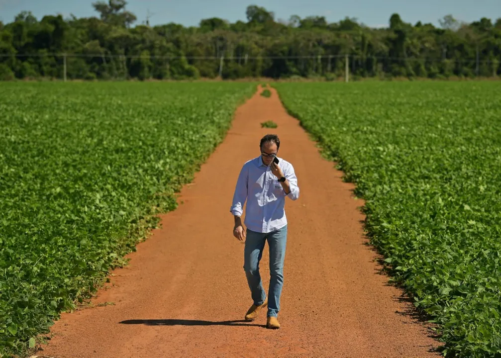 Produtor de soja Rodrigo Pozzobon tem plantação no norte do Mato Grosso