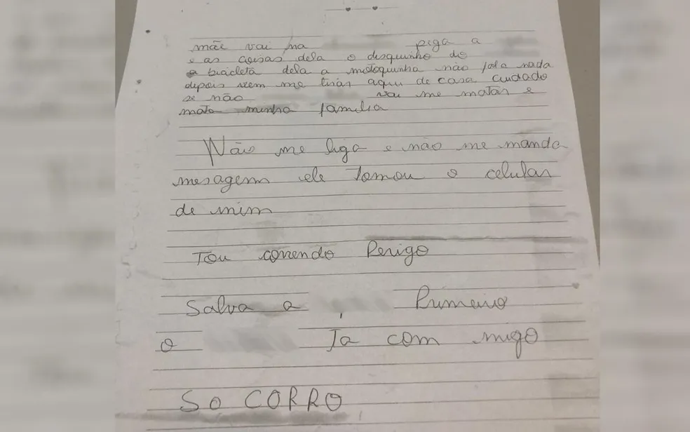 Vítima já havia registrado duas queixas por agressões físicas e verbais | Foto: Reprodução | Polícia Civil