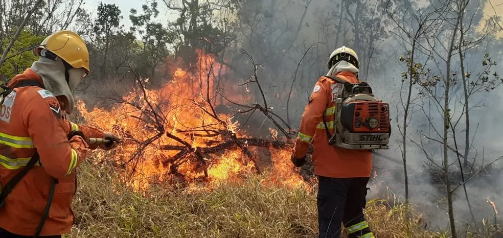 Não há maiores detalhes sobre as circunstâncias ou causas do incêndio | Foto: Divulgação | Corpo de Bombeiros