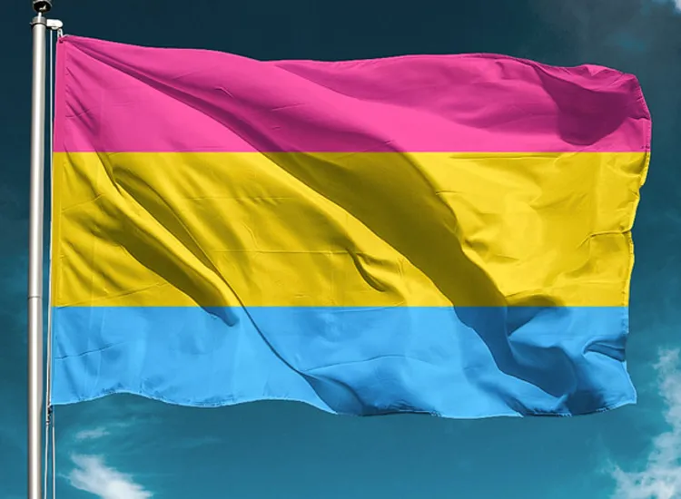 Bandeira que representa o movimento pansexual