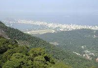 Petrobras refloresta área de Mata Atlântica no polo de gás de Itaboraí