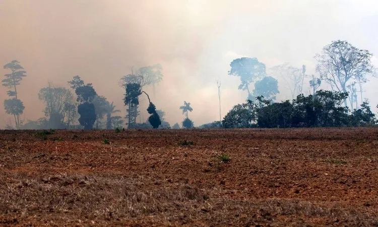 Queimadas ocorrem com mais frequência em setembro | Foto: João Laet | AFP