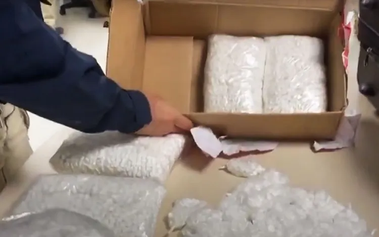 Em depoimento, a mulher, de 23 anos, afirmou que havia pago R$ 20 mil pelo produto, para comercializar em Fortaleza | Foto: Divulgação | PRF