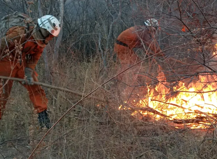 Vários focos de incêndio foram localizados em Barra | Foto: Divulgação | CBMBA