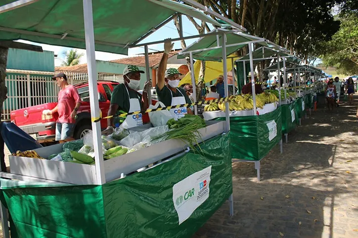 Os projetos são de responsabilidade da Secretaria de Desenvolvimento Rural (SDR) e Federação da Agricultura e Pecuária do Estado da Bahia (Faeb) | Foto: Sistema Faeb | Senar
