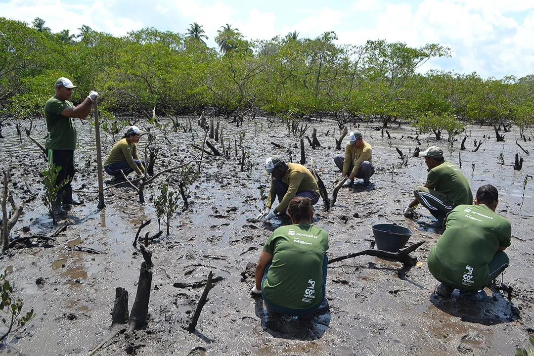 O Brasil tem atuado contra seu próprio meio ambiente, em situação de calamidade, a ser combatida com a justiça do STF | Foto: Fundação Vovó do Mangue Z Divulgação