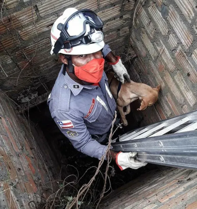 Equipes utilizaram uma escada, além de outros equipamentos para chegarem até o cão | Foto: Divulgação | CBMBA
