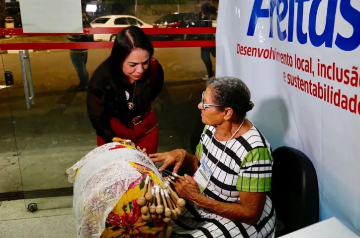 O PL que institui o Dia Municipal do Empreendedorismo Feminino será comemorado no dia 19 de novembro | Foto: Reprodução | lfnews.com.br