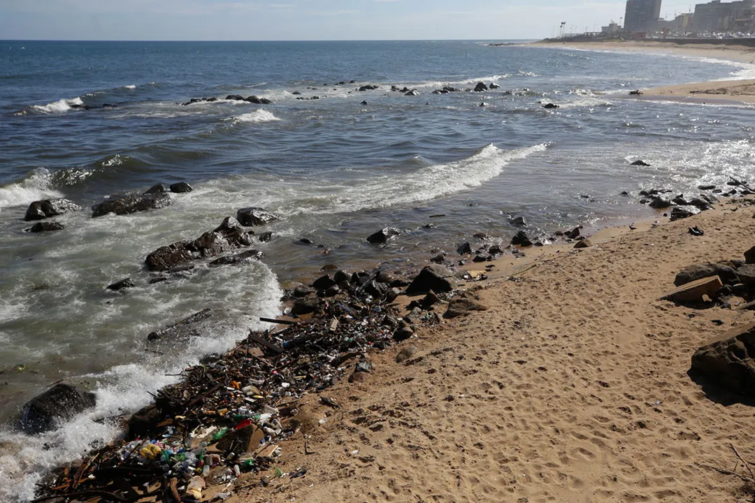 Vídeo que circula nas redes sociais mostra correnteza do rio levando grande volume de dejetos até a praia | Foto: Adilton Venegeroles | Ag. A TARDE