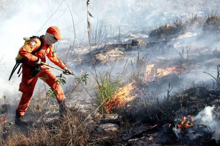 Bombeiros atuam na contenção das chamas | Foto: Mateus Pereira | GOV-BA