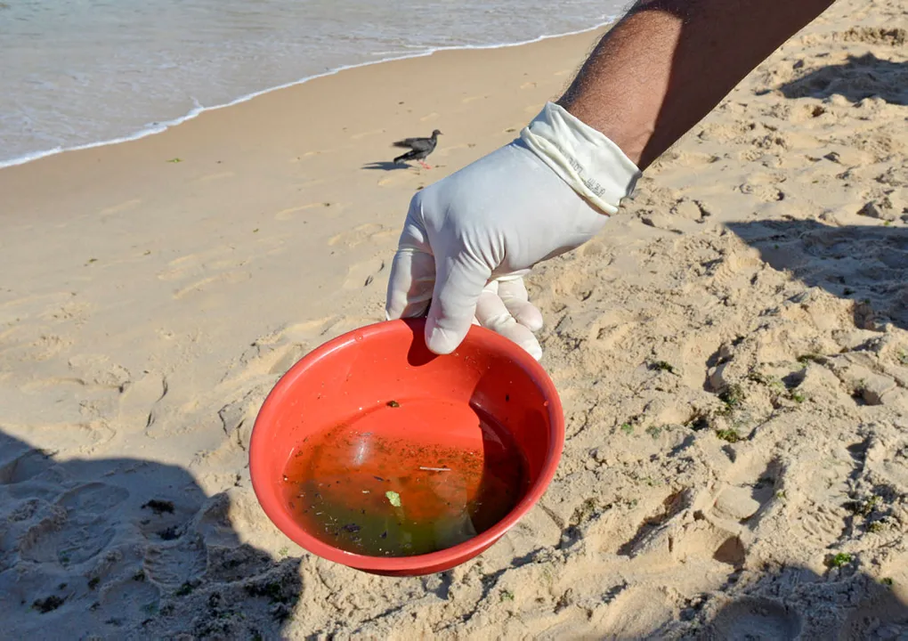 Precisa-se de atenção com dengue, zika e chikungunya, cujo grau de letalidade não assusta, mas não deixa de produzir incômodo | Foto: Shirley Stolze | Ag. A TARDE | 18.3.2021