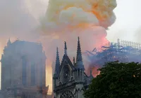 Autoridades florestais buscam árvores para reconstruir Notre-Dame