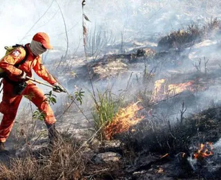 Incêndio em Parque Nacional da Chapada Diamantina é controlado