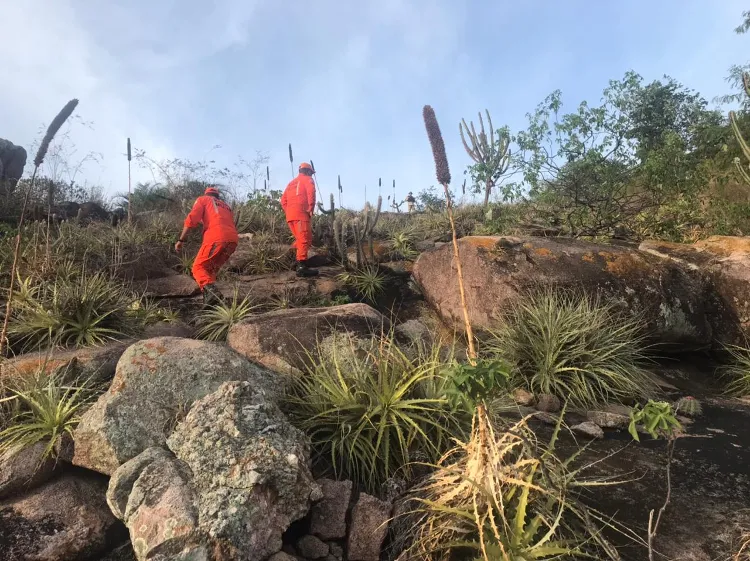 Militares seguem no apoio | Foto: Divulgação | Bombeiros