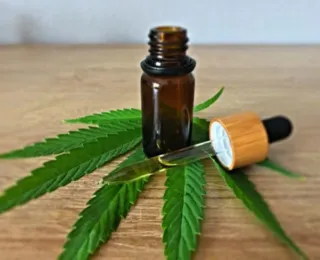 Câmara: plantio de maconha para fins medicinais tem parecer favorável