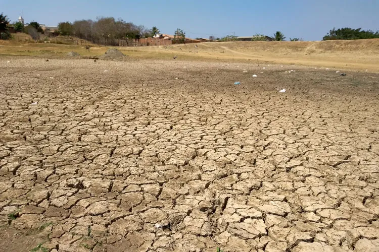 Com situação de emergência reconhecida por causa da estiagem, cidades podem solicitar recursos da União | Foto: Achei Sudoeste | Lay Amorim