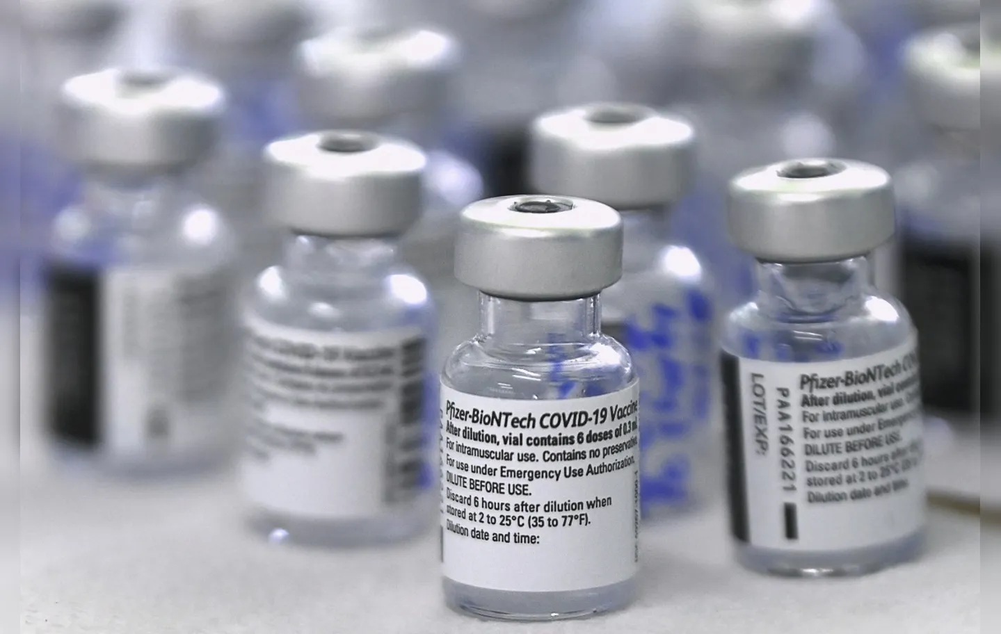 Imunizantes serão enviados no mesmo dia da chegada para as regionais de saúde | Foto: Luis Acosta | AFP