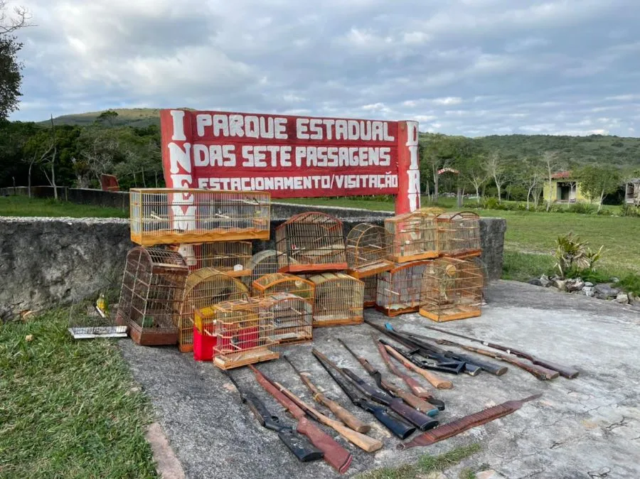 Na ação, 14 espingardas e 80 gaiolas foram apreendidas | Foto: Divulgação | SSP-BA