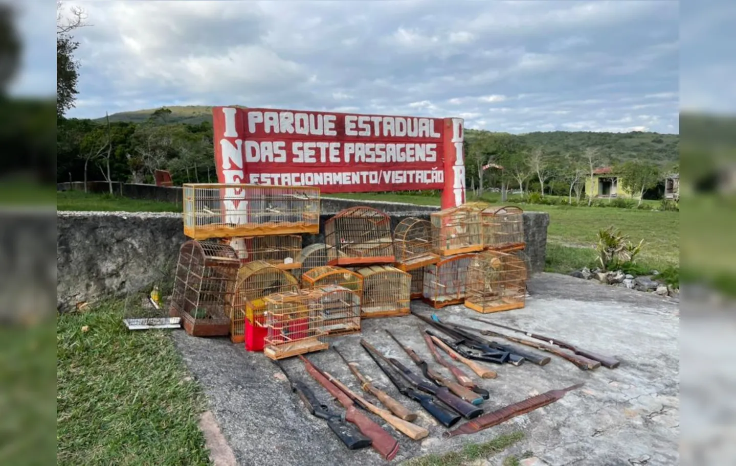 Na ação, 14 espingardas e 80 gaiolas foram apreendidas | Foto: Divulgação | SSP-BA