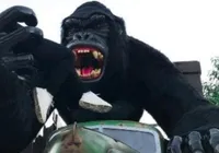 Criança cai de brinquedo no Beto Carrero World e sofre traumatismo craniano