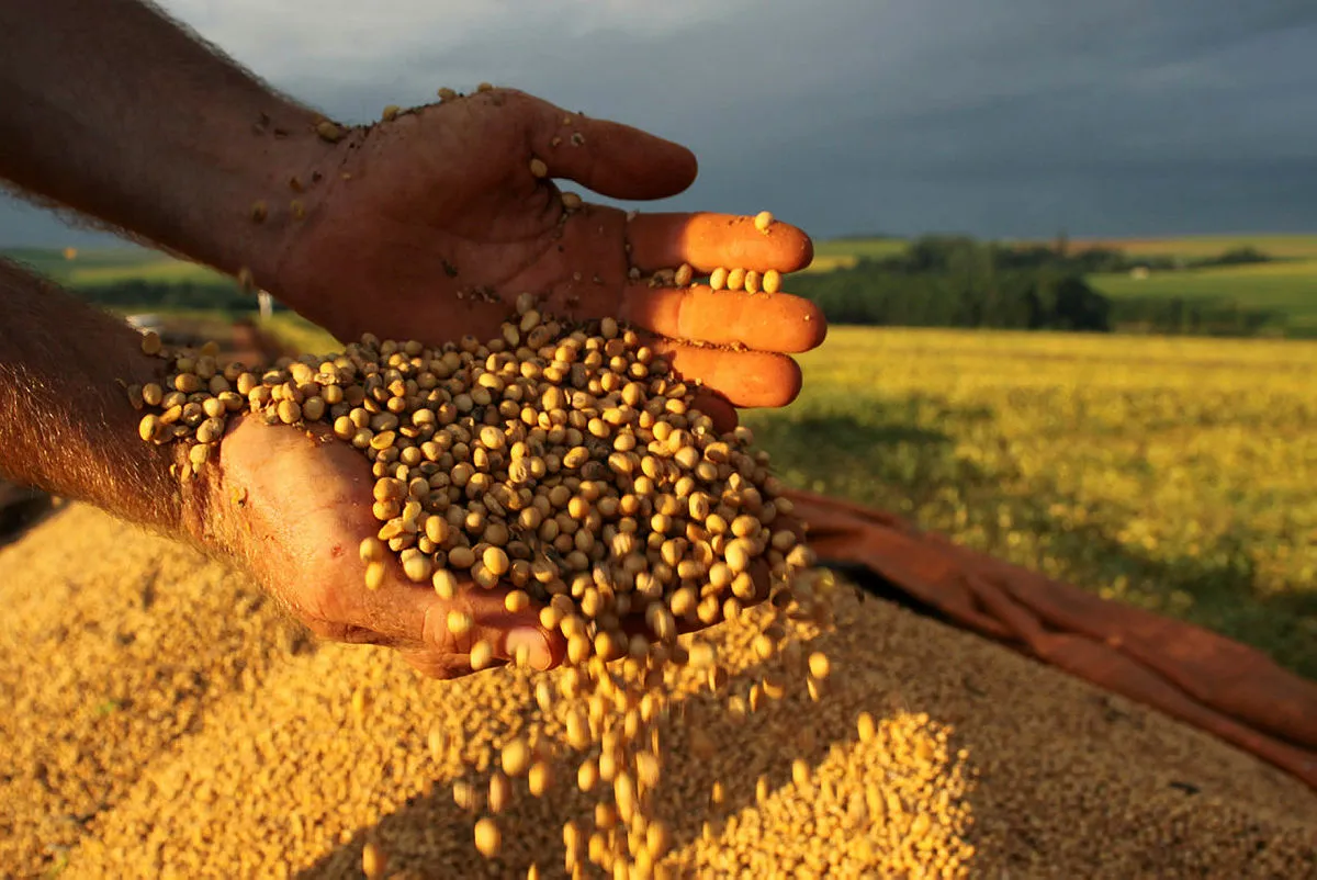 Alcançar 500 milhões de toneladas de grãos é um desafio | Foto: Jonas Oliveira | ANPr