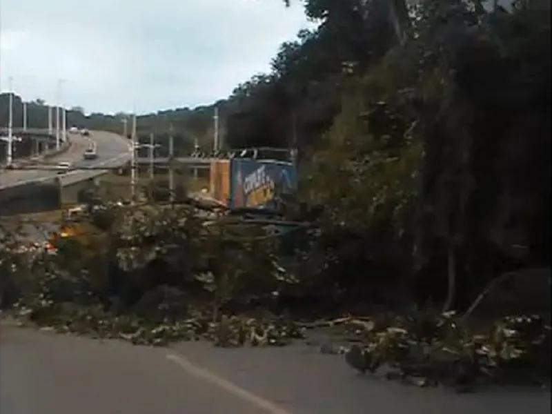 Apesar do transtorno, não houve registro de feridos na ocorrência | Foto: Reprodução