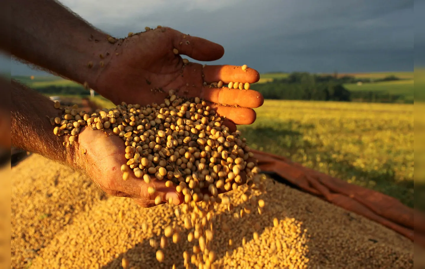 Alcançar 500 milhões de toneladas de grãos é um desafio | Foto: Jonas Oliveira | ANPr