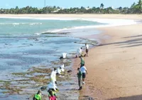 Manchas de óleo voltam a aparecer no litoral baiano