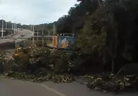 Galhos de árvores caem e obstruem parcialmente a Ladeira da Cruz da Redenção