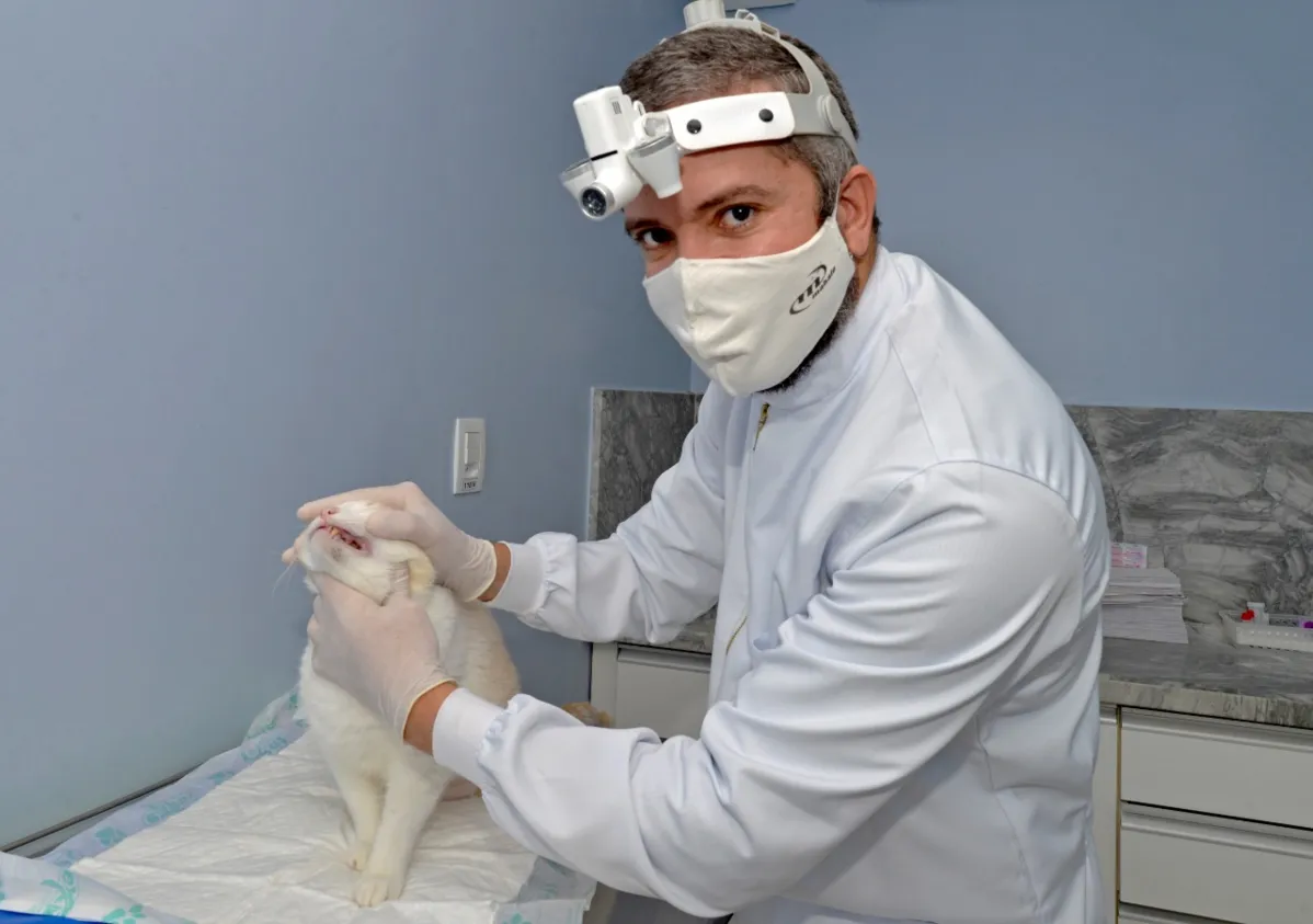Conforme especialista, doença odontológica que mais acomete os animais é o acúmulo de tártaro | Foto: Shirley Stolze | Ag. A TARDE